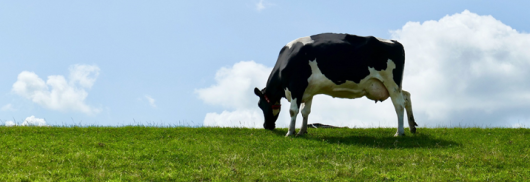 MilKey.png MilKey.png