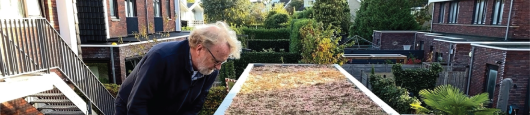 Steeds meer mensen willen een groen dak, maar hoe groen is dat? - RTV Utrecht, 2022 Steeds meer mensen willen een groen dak, maar hoe groen is dat? - RTV Utrecht, 2022