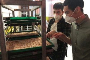 Luis conducting research.jpg